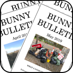 Linkk for the Bunny Bulletin